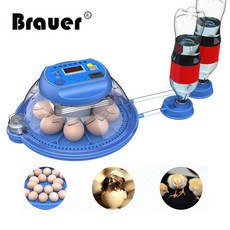 곰부화기 자동 새 알 부화기 농장 병아리 기계 디지털 계란 거위 닭 메추라기, 8 Eggs, US Plug 110V