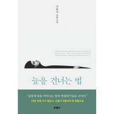 그기사가레이디로사는법소설