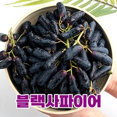 푸릇푸릇 고당도 가지포도 블랙사파이어 포도 씨없는포도 스윗사파이어 1kg, 1.블랙 사파이어 포도 1kg(1팩)