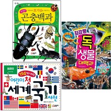 곤충사전