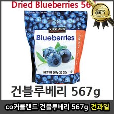 co커클랜드 건과일 말린 건블루베리 567g 동결건조 말랭이, 선택