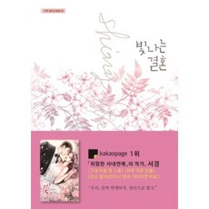 빛나는결혼소설책