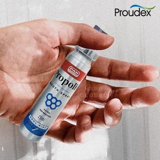 PAN 프로폴리스 쿨민트 스프레이 25ml 6병(무설탕 면세점 뿌리는 구내염)