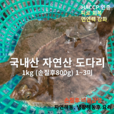 [산지직송] 국내산 자연산 남해 활도다리 1kg (손질후 800g 1미~3미) 1박스