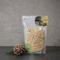 솔닙 [23년산] 솔향 가득 가평 햇 백잣 500g, 1개