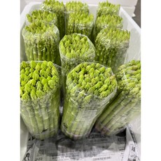 [프래시그린] 싱싱한 생 아스파라거스1kg, 12개, 1kg, 1kg, 12개