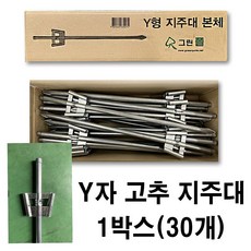 y자고추지주대
