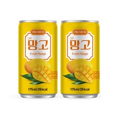 다인 망고, 10개, 175ml