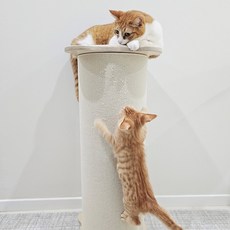  고양이 수직 기둥 카페트 스크래쳐 캣 타워 스트레스 해소 용품, 아이보리 