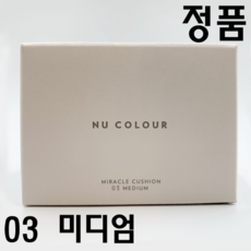 뉴스킨쿠션