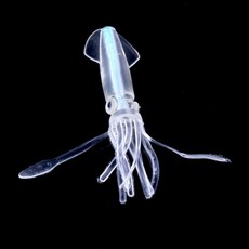 문어낚시 colorful squid tube soft rubber 실리콘 인공 잉어, 색상 3, 100개
