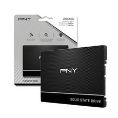 PNY CS900 제이씨현 (250GB), 본품