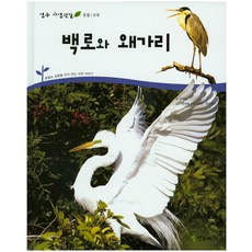 연두비학교가자