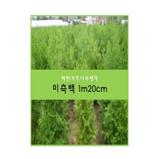 5592cad5441cfd86db4c5ba2d2c5a773581c661922fe5e771bd382fa5b2a.jpg