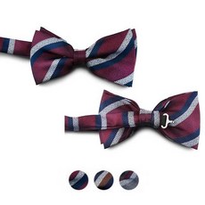 줄무늬나비넥타이