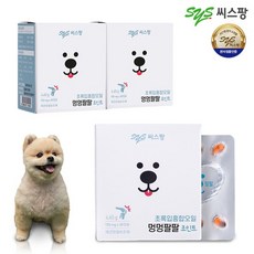 멍멍스타