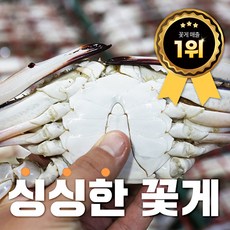 활꽃게1kg