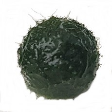 d5cec0ff651e1f8e0dca87bb5dd7188f3c36cfc1ec062155ec5d658692fa.jpg