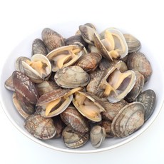 [유자네] 남해안 생물 바지락 2kg, 1개