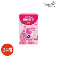 웅진 솔브앤고 아이튼튼 딸기, 150ml, 24개