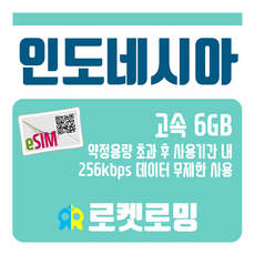 인도네시아esim