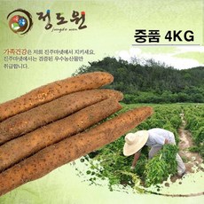 서안동장마4kg