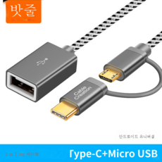 usb-c이어폰