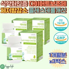 엉덩이복부보정남자