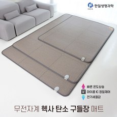 한일전기장판구들장