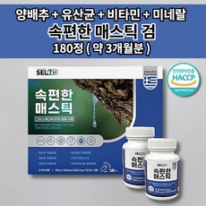 매스틱복합체