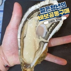 르베르웨건공동구매