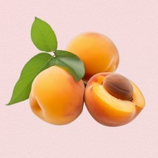 달님식품 산지직송 살구 apricot