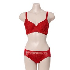 트라이엄프보정브라