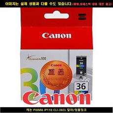 캐논ip110