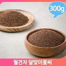 달맞이랑