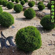 태백모텔