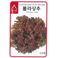 롤라로사