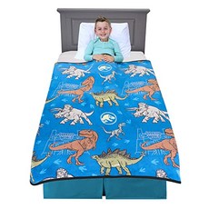 EOM Kids Bedding Super Soft Plush 담요 46 x [46" x 60"- Jurassic World] - E013408BKWM8JS7, 46" x 60"- Jurassic World