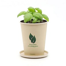 (1+1)반려식물 화분재배키트 에코컵가든 꽃집사 식물키우기, 방울토마토, 방울토마토