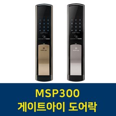 msp300