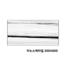 이누스벽타일