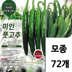 미인풋고추모종 72주 개 4.22(목)출하 천연 음식 재료 혈당 당뇨 고추 모종 미인 아삭이 키우기 주말농장 베란다 텃밭 재배 집 옥상 에서 농사 체험 기능성 안매운 채소 천기누설, 4월22일 (목요일 배송)