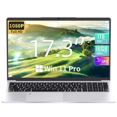 17.3 인치 1080P IPS 대형 화면 노트북 [Win 11 ProMS Office 2019 탑재] 11세대 인텔 celeron N5095 2.0~2.8GhzDDR4L 16GB 고속 SSD 960GB 지문 인증USB 3.0USB 2.0 16GB+960GB SSD)