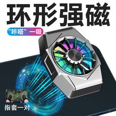 핸드폰쿨링케이스