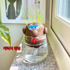 잔디인형 키우기 l 토피어리 만들기 식물 키트 diy
