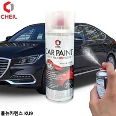 뉴카렌스카오디오