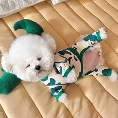 아모르도그 반려동물 올인원