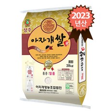 아자개쌀 2023년산 경북 상주 특등급 일품 20kg, 1개