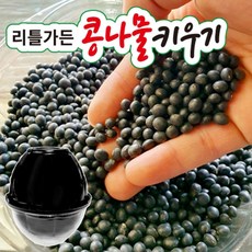 리틀가든콩나물