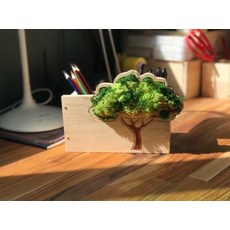 에셀나무목공체험